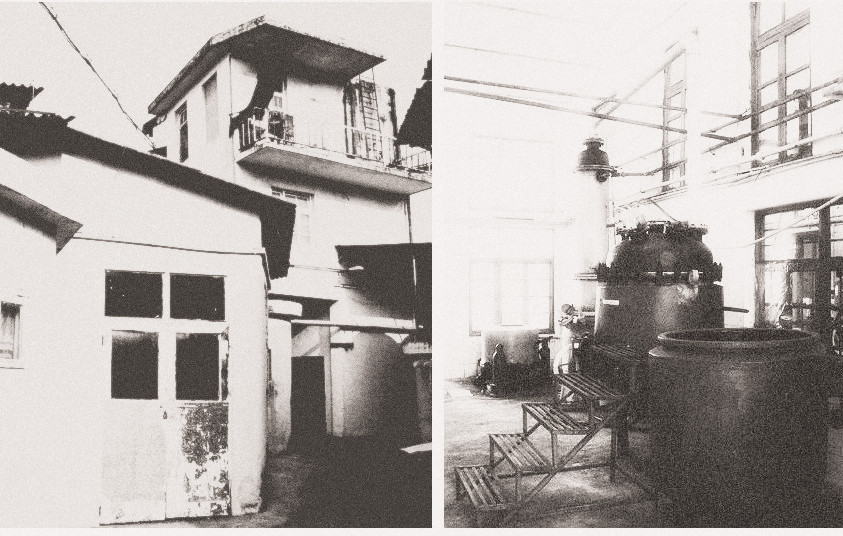 Development History